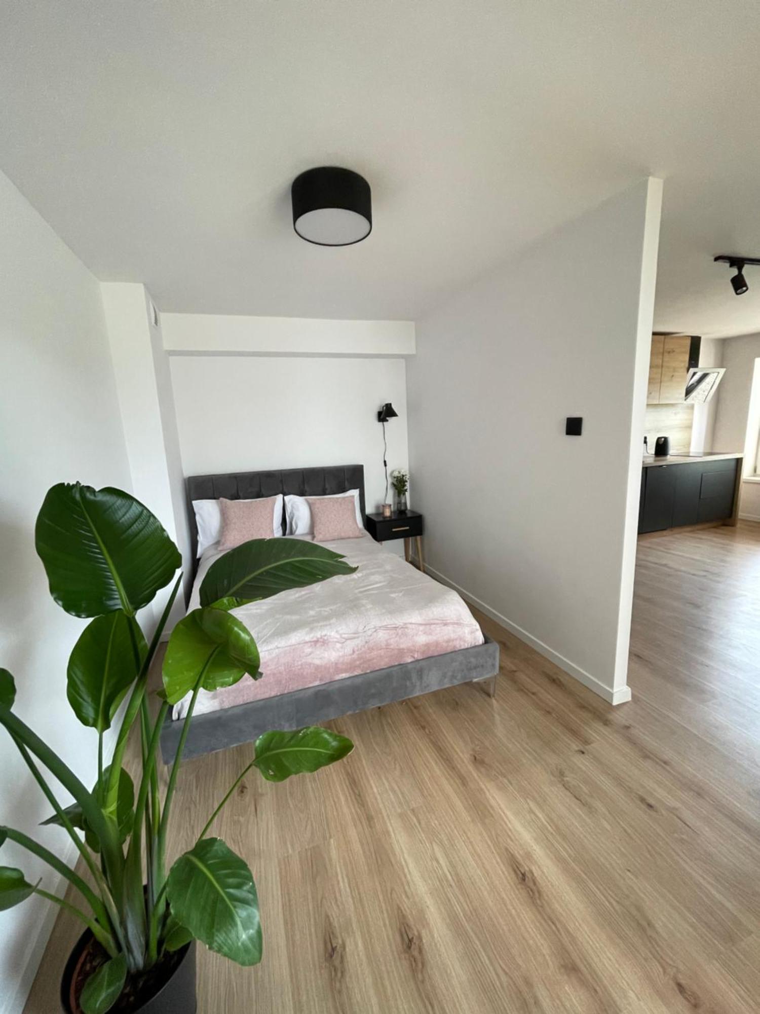 Homestay House *